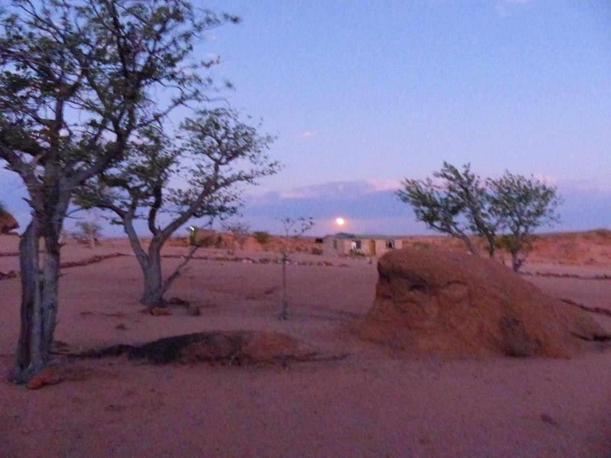 Ozohere Campsite And Himba Village Uis Exterior photo
